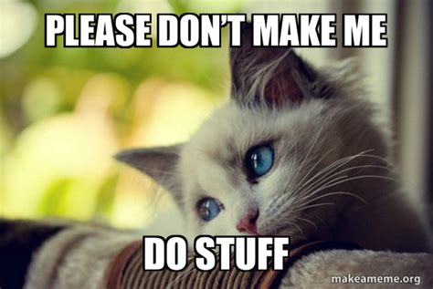 Please Dont Make Me Do Stuff First World Cat Problems Meme Generator