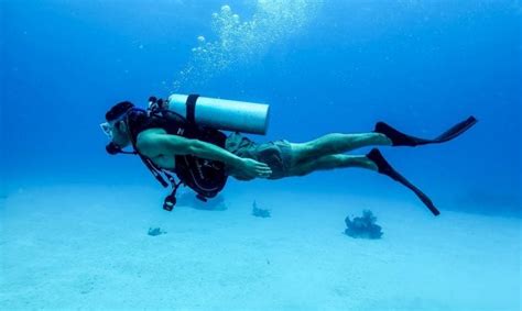 Why You Should Go Scuba Diving The Frisky