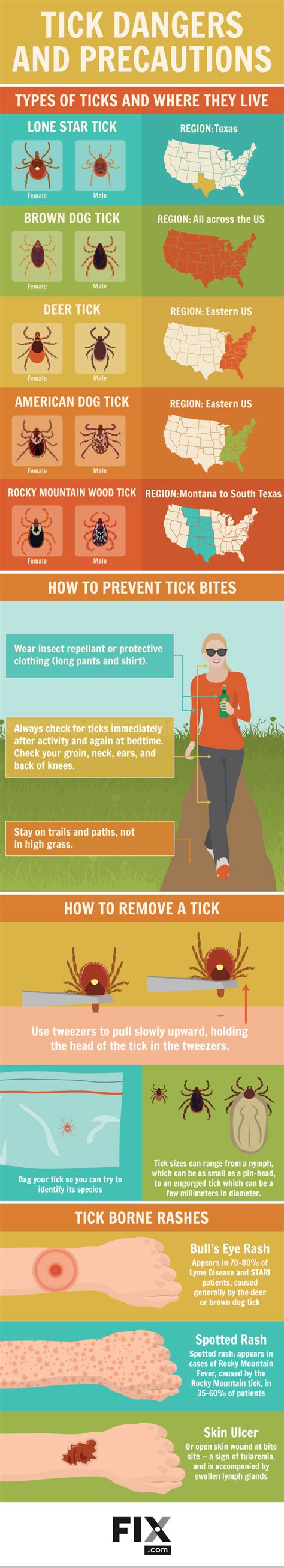 Tick Dangers And Precautions Learn To Identify And Prevent Tick Bites