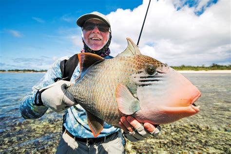 The Best Flies To Land The Triggerfish On A Fly Alphonse Fishing Co
