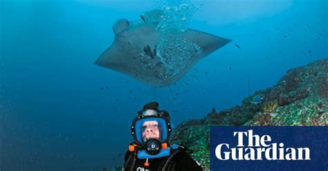 My Love Affair With The Manta Ray Diving Holidays The Guardian