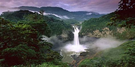 Amazonas Región Oriente Ecuador Selva Amazónica Planetandes