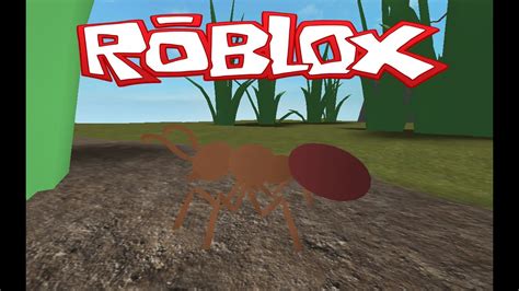Everyday a new roblox code could come out and we keep track of all of them so keep checking so you make sure you don't miss out on any item! Roblox Ant Simulator - YouTube
