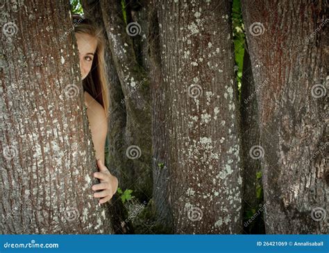 Mädchen Das Hinter Einem Baum Sich Versteckt Stockbild Bild Von Beschaffenheit Fell 26421069
