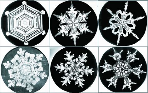 This Book Is A Complete Guide To The Science Of Snowflakes