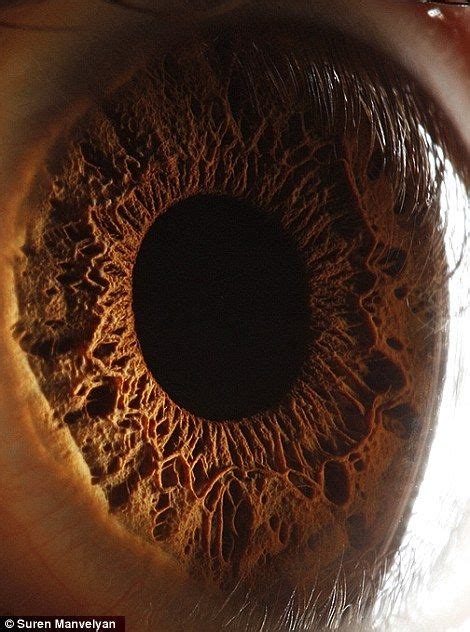 The Eyes Have It The Iris Pictured In Remarkable Detail By Incredible Close Up Shots Macro