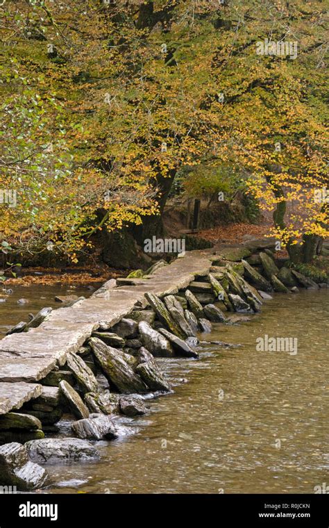 Autumn At Tarr Steps And Its 17 Span Clapper Bridge Exmoor National