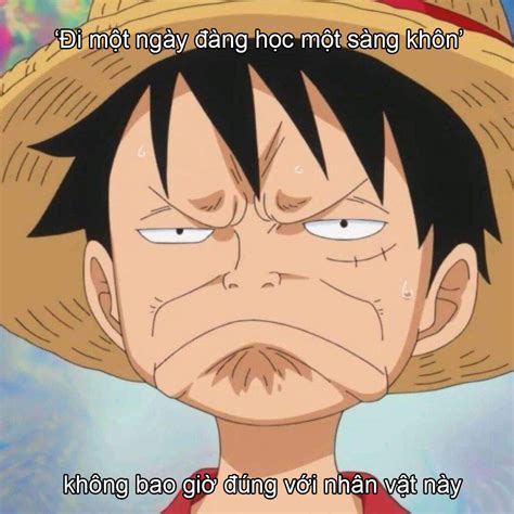One Piece Thư Giãn Cuối Tuần Với Loạt ảnh Meme Cười Sái Quái Hàm Xung