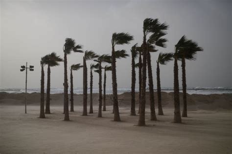 Gusting Winds And Falling People Israel21c