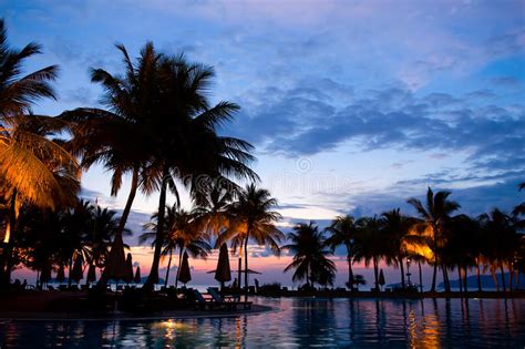 31186 Tropical Resort Evening Stock Photos Free And Royalty Free Stock