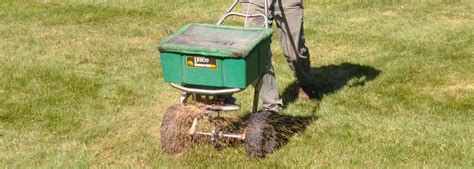 Tree maintenance we specialise in all tree care practices, including: Overseeding