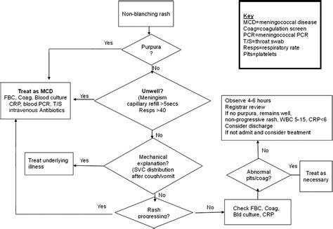 Validation Of Two Algorithms For Managing Children With A Non Blanching