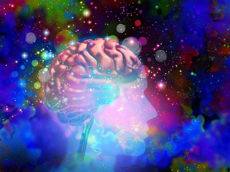 How Do Psychedelics Work In The Brain