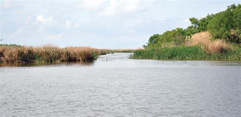 Keep Louisianas Water Resources Plentiful And Good