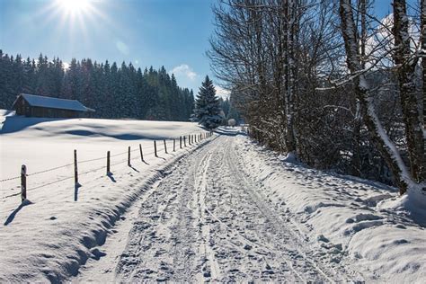 Winter Way Snow · Free Photo On Pixabay