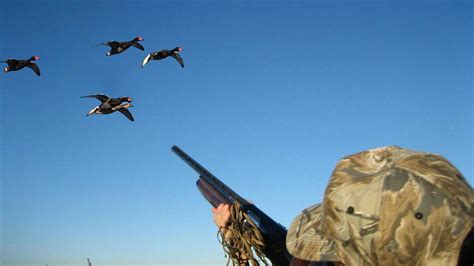 Hunter Wild Duck Hunting Hoodoo Wallpaper