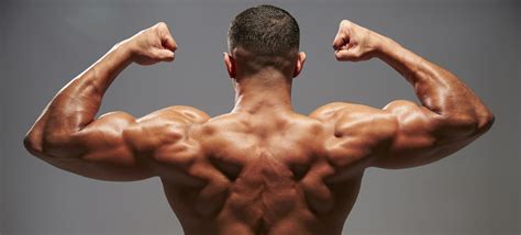 How To Get A Bigger And Wider Back With Weight Training Uk