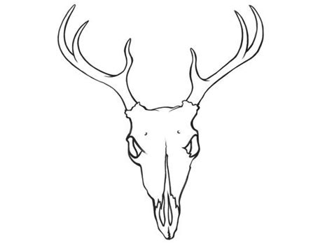 Bandw Deer Skull Temporary Tattoo By Lisa Gane Australia Simply Apply