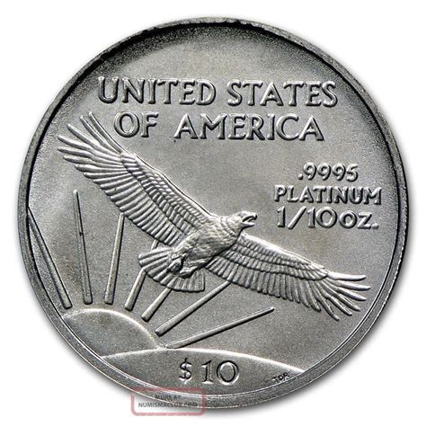 2007 110th Oz Platinum American Eagle Coin