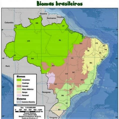 Biomas resumos de geografia da Milênio Reforço Escolar