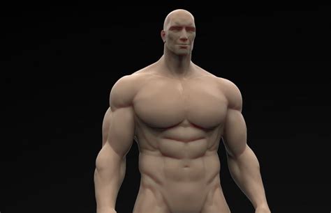 Muscular Body Printable 3d Model 3d Printable Obj Stl