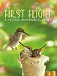 First Flight: A Mother Hummingbirds Story (película 2009) - Tráiler ...
