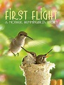 First Flight: A Mother Hummingbirds Story (película 2009) - Tráiler ...