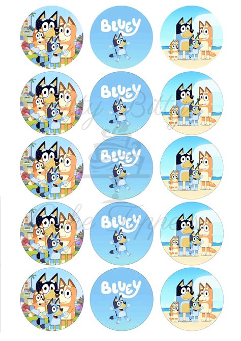 Bluey Edible Cupcake Toppers Itty Bitty Cake Toppers
