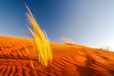 Namib Colors World Photography Image Galleries By Aike M Voelker