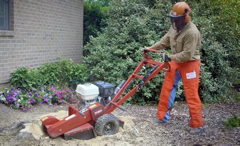 How To Remove A Tree Stump The Home Depot