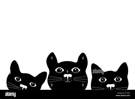 Tres Lindo Gato Negro Caras Silueta De Gatos Sobre Fondo Blanco Imagen Vector De Stock Alamy