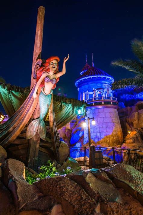 Night Photography Of Walt Disney Worlds Magic Kingdom The Bucket