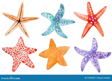 Starfish Digital Download Starfish Clipart Starfish Png  Ocean
