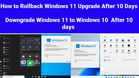 How To Go Back To Windows 10 From Windows 11 After 10 Days Downgrade