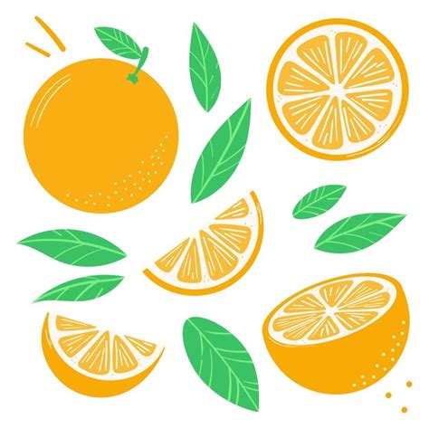 Premium Vector Orange Clip Art Vector Illustration Set With Leaves
