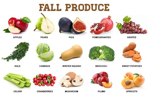 Falls Best Fruits And Veggies