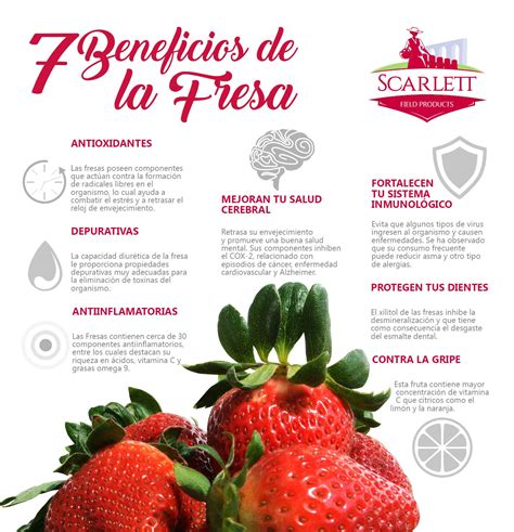 Beneficios De Las Fresas Infografias Y Remedios Images