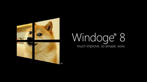 Doge Wallpaper 1920x1080 Wallpapersafari