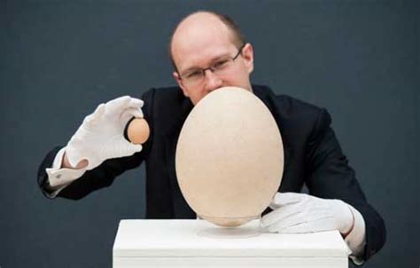 Selling The Worlds Largest Egg At An Auction New Style To Live