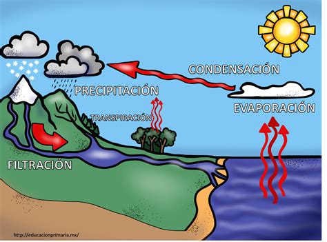 Fabuloso Cuadernillo Interactivo Del Ciclo Del Agua Material Educativo