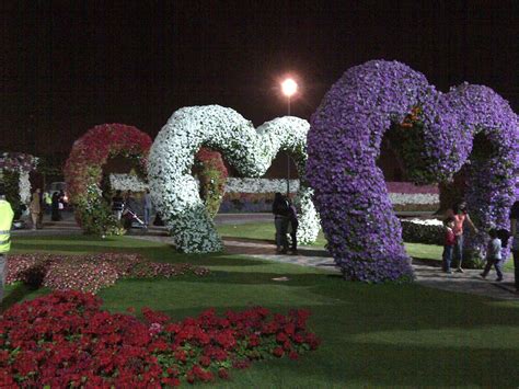 Gardens of the night (240) 6.8 1 h 48 min 2008 r. Images PK: Miracle Garden Dubai