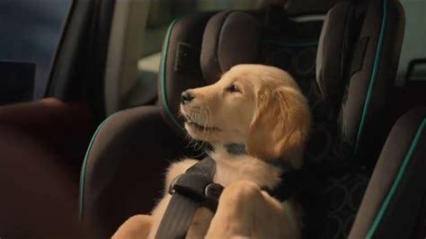 Subaru A Lot To Love Event Tv Spot Dog Tested Honk T2 Ispottv