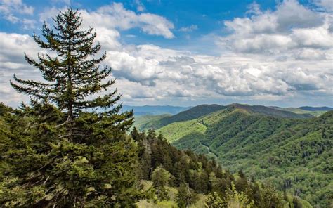5 Must Visit Places In The Great Smoky Mountains National Park