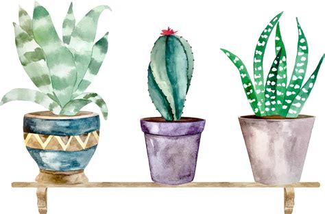 Watercolor Illustration Of Cactus And Succulent Plants In Pot