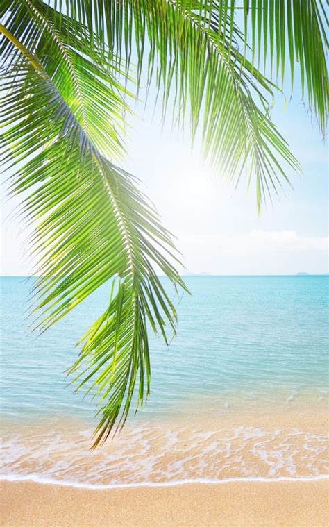 tropical beach live wallpaper for desktop