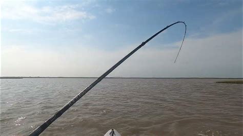 Matagorda Redfish School Youtube