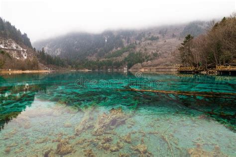 Lake Jiuzhaigou Park Stock Image Image Of Natural Scenery 123457809