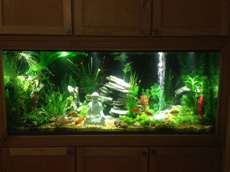 Fresh Water Fish Aquariumall Artificial Plants 210 Gallon Fish Tank