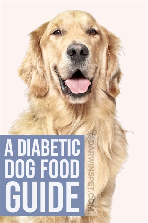 Explore the best dog foods for diabetic dogs and learn how to choose them yourself, focusing on low #6 visionary pet keto diabetic dog food. Home | Diabetic dog food, Diabetic dog, Raw dog food recipes