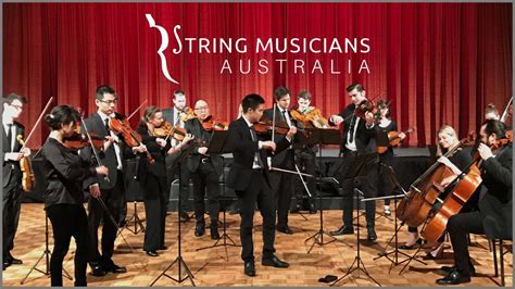 String Band And Quartet For Hire String Musicians Australia